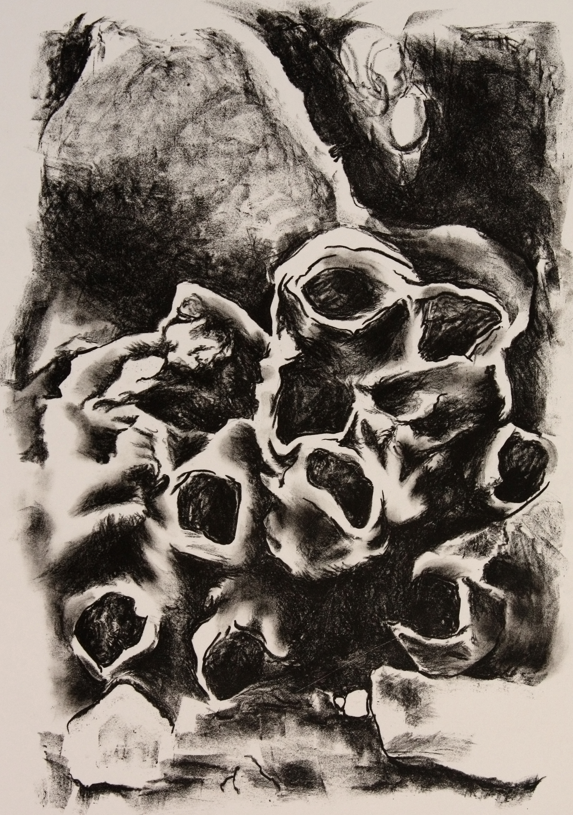 habitato by Shannon Milar — Incisore-Stampatore series.