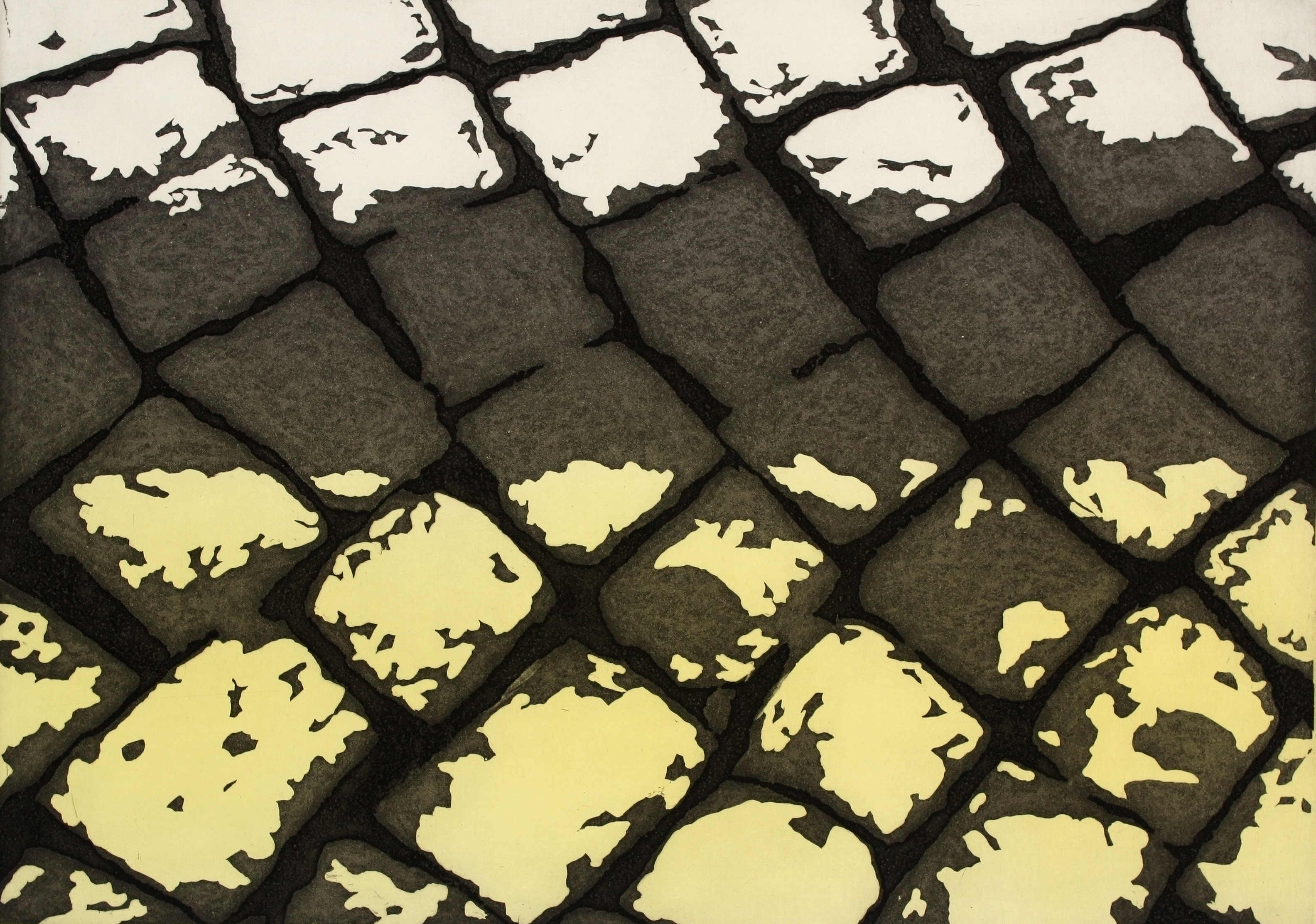 pavimento by Shannon Milar — Incisore-Stampatore series.